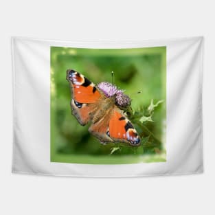 Peacock Butterfly Tapestry