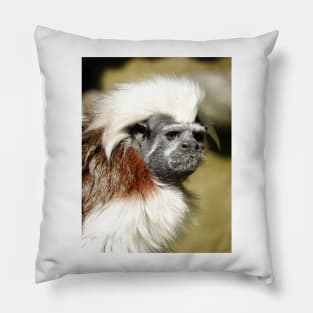 Cotton-top Tamarin Pillow