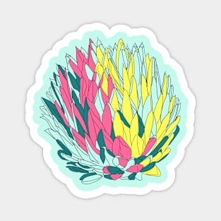 Ornamental cactus colorful lineart Magnet