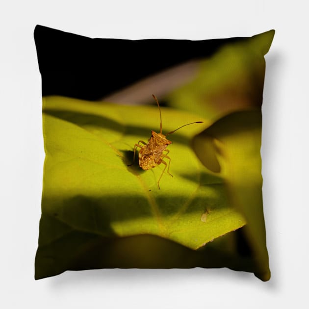 Beetle on a leaf Pillow by kall3bu