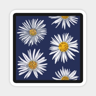 White asters on dark blue, dense Magnet