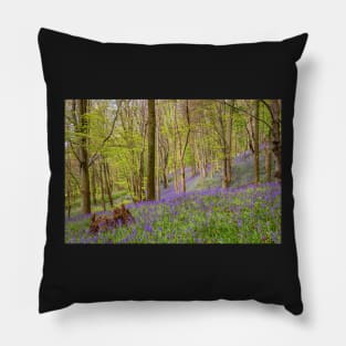 Bluebells, Margam Forest, Wales Pillow