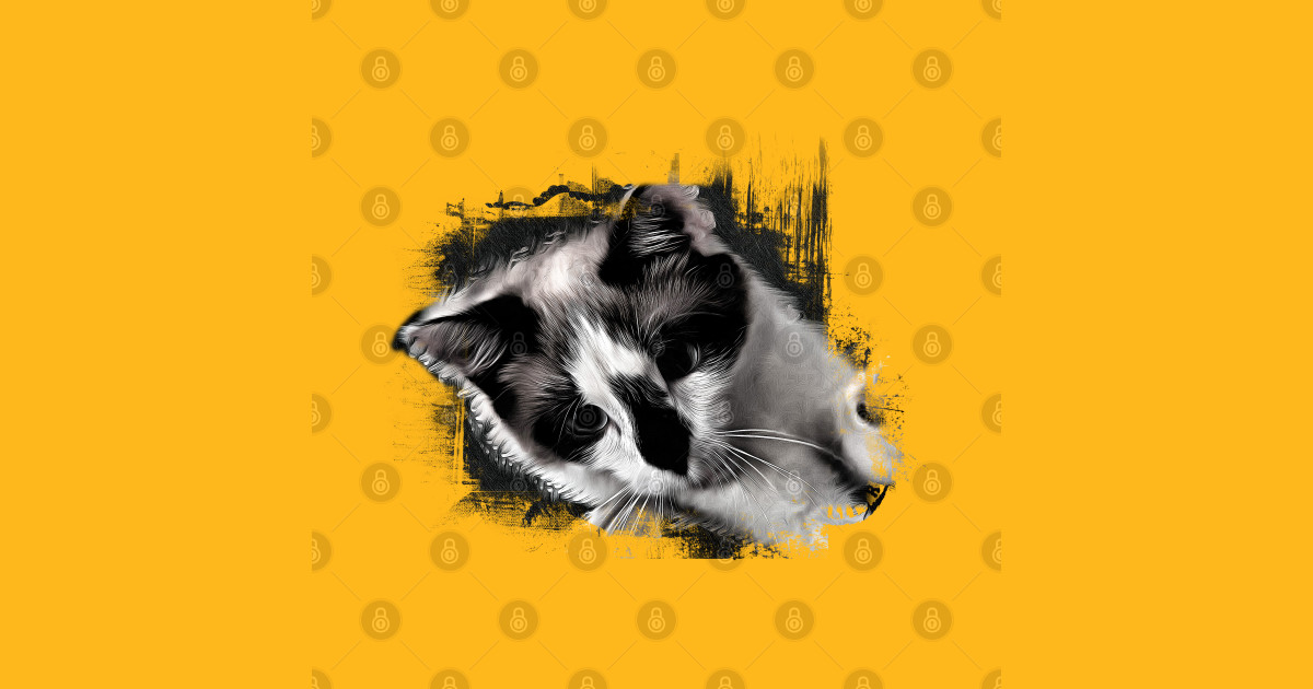 Snowshoe Kitten Snowshoe Cat TShirt TeePublic