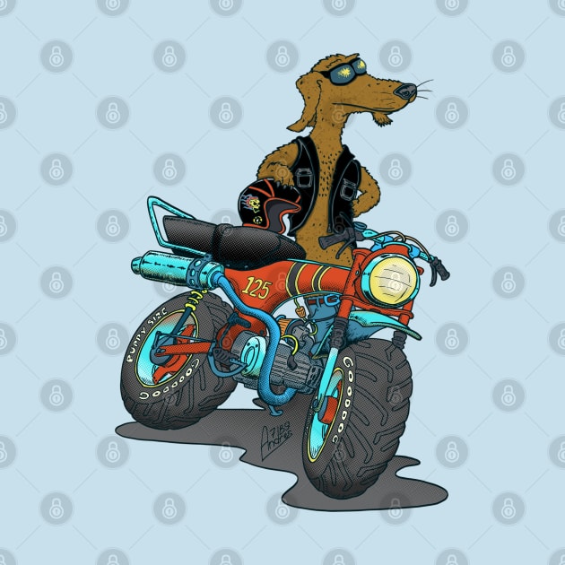 Daxhund and his motorcycle by Andres7B9