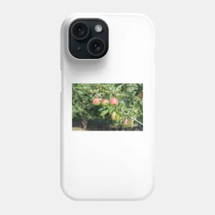 Okanagan Valley Apples and Summer Sunshine Phone Case