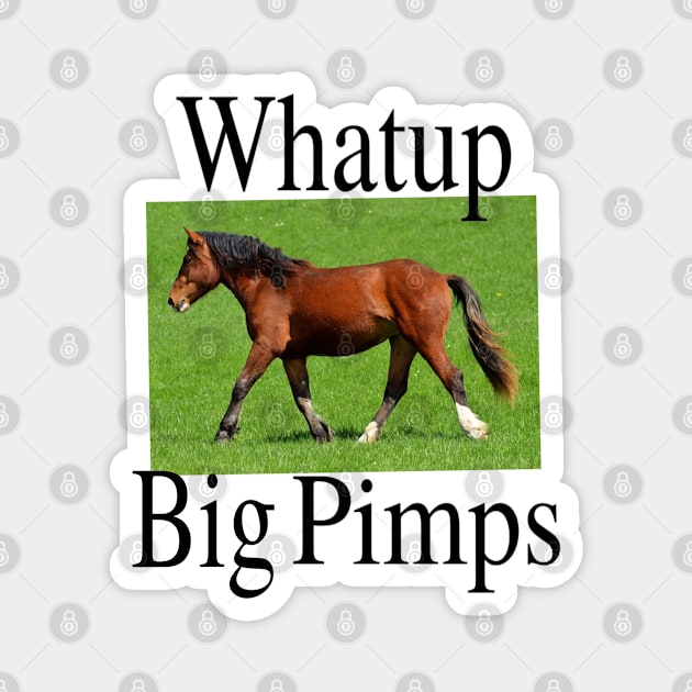 Whatup Big Pimps Magnet by blueversion