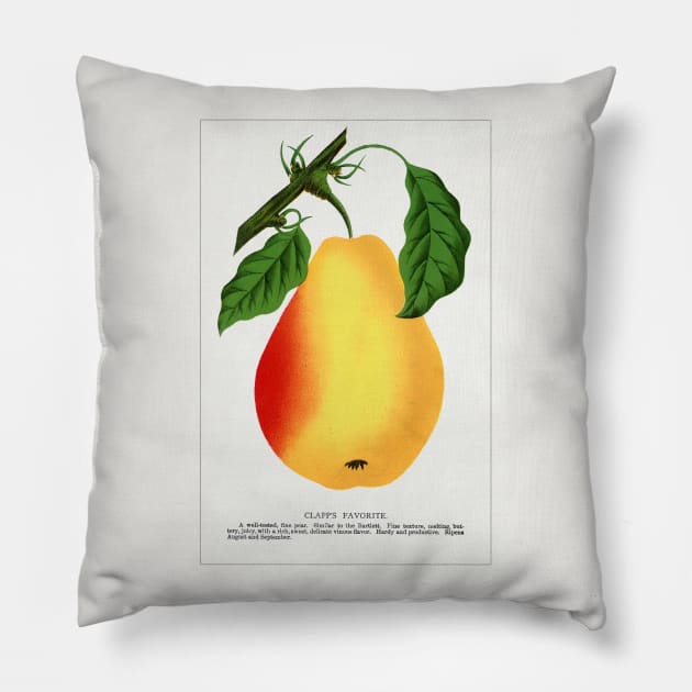 Clapp's Favorite pear lithograph (1900) Pillow by WAITE-SMITH VINTAGE ART