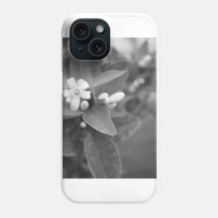 Black and White Plant Phone Case