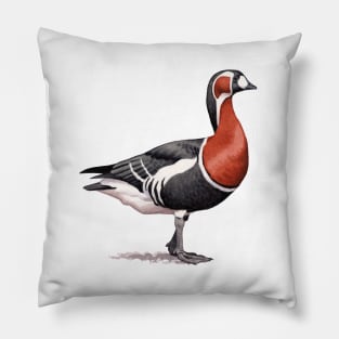 Red-breasted Goose Pillow