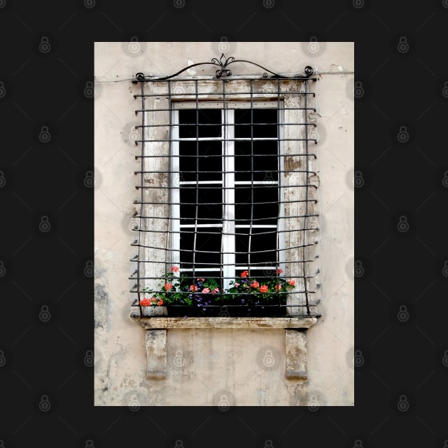 Renaissance Palazzo Window by Artskratch