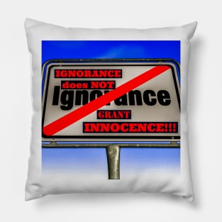 IGNORANCE isn't an excuse! Pillow