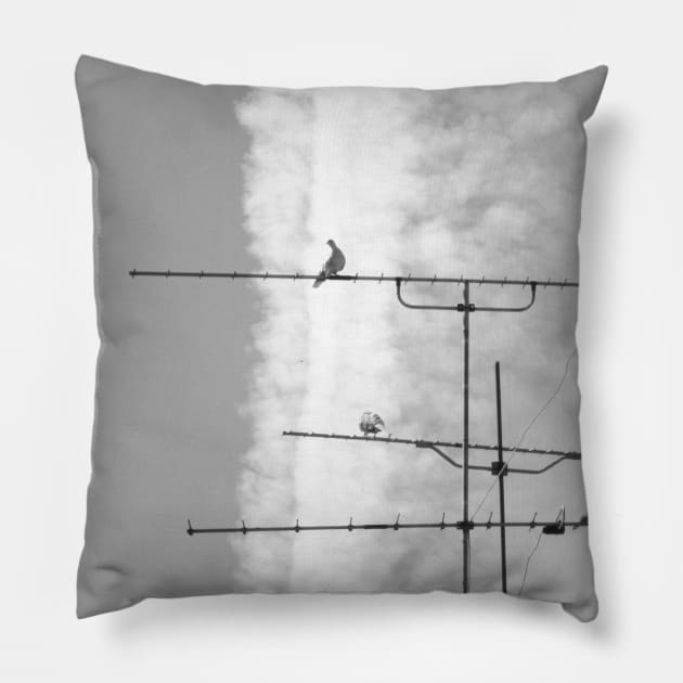 What's on TV? Antenna cloud and pigeons Pillow by oknoki