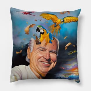 Vintage Jimmy Pillow