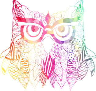 Owl Magnet