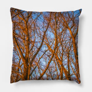 Winter landscape - frosty trees in snowy forest in the sunny morning. Tranquil winter nature in sunlight Pillow