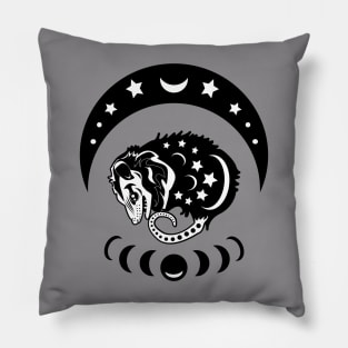 Witchy Possum Vibes Pillow