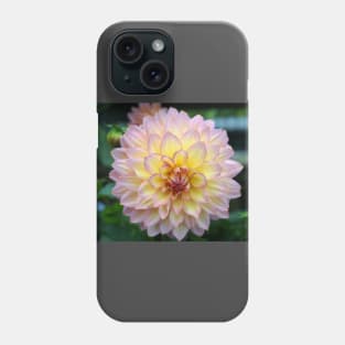 Dahlia Phone Case