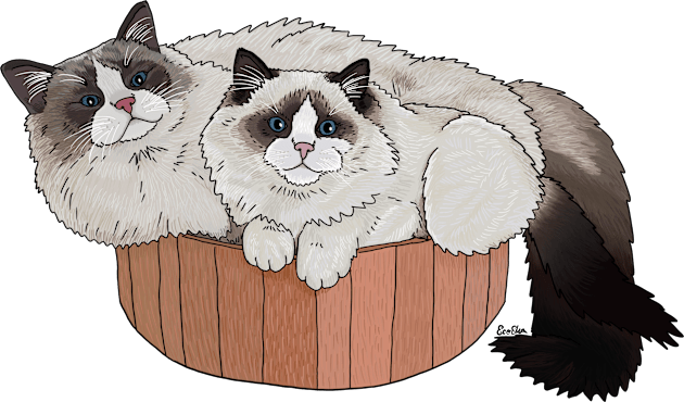 Ragdoll Cat Cuddle Pile Kids T-Shirt by EcoElsa