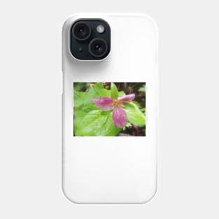 purple trillium #2 Phone Case