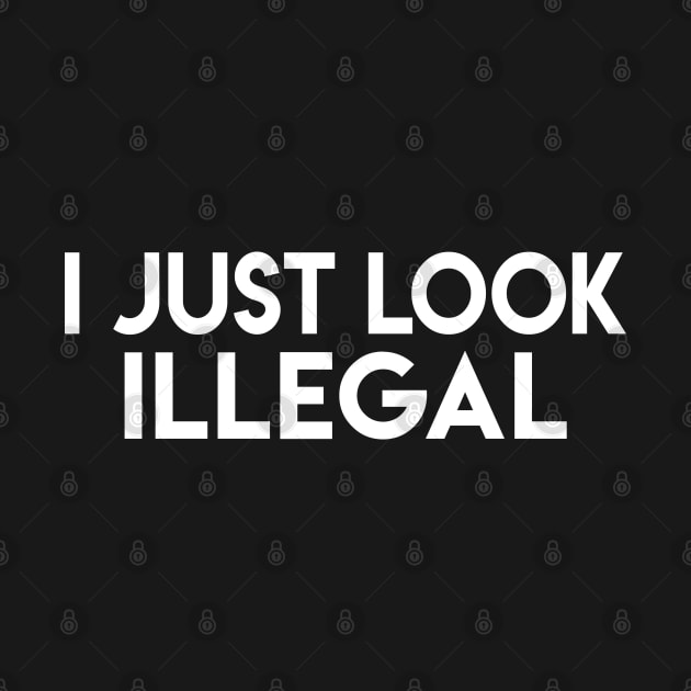 I Just Look Illegal by Elvdant