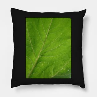 Green Leaf series - 1 Pillow