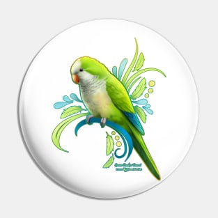 Green Quaker Parrot Pin