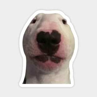 scared dog face Magnet for Sale by Petmemes