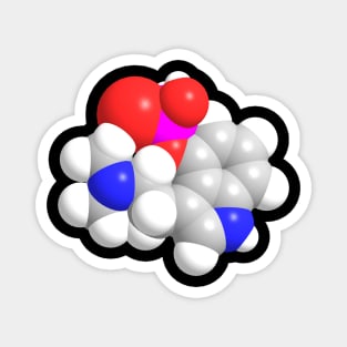 Psilocybin Molecule Chemistry Magnet