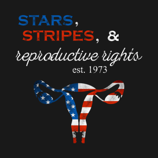 Stars And stripes Reproductive rights T-Shirt