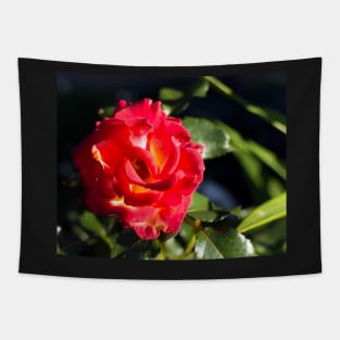 Glowing bright red rose Tapestry