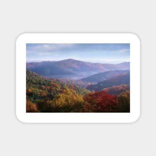 Autumn Deciduous Forest From The Blue Ridge Parkway North Carolina Magnet