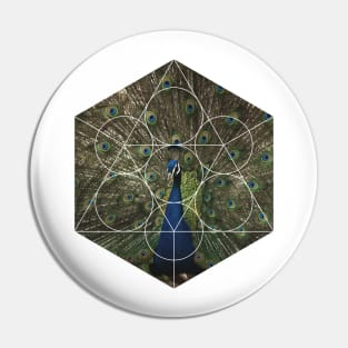 Beautiful Peacock Geometric Photography Pin