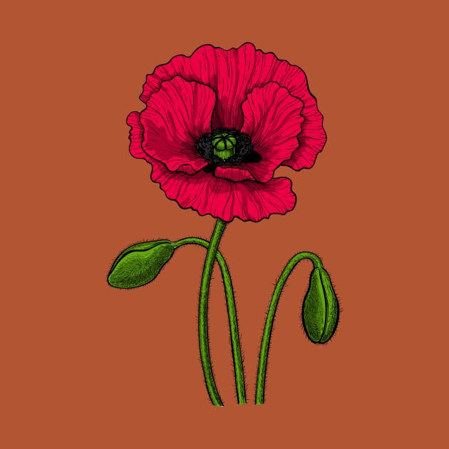 Red poppy drawing by katerinamk