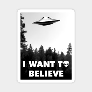 I want to believe Magnet