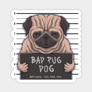 bad pug Magnet