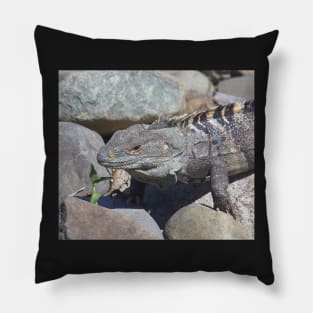 Female Green Iguana Pillow