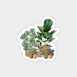 House Plants Illustration 8 Magnet