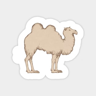 Plain Ole Doublehump Camel Magnet