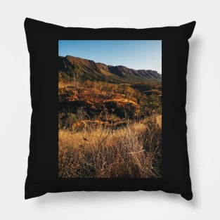 Dry Mountainous National Park Landscape Pillow