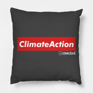 Climate Action Pillow