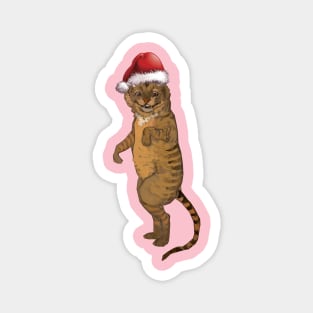 funny cat posing for Christmas cat person gift Magnet