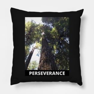 Perseverance motivational photo of giant redwood Pillow