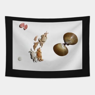 Shells Tapestry