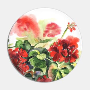 Plant geranium, flowers and leaves, watercolor Pin