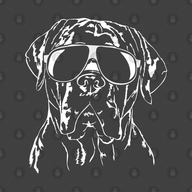 Cool Cane Corso Italiano with sunglasses by wilsigns