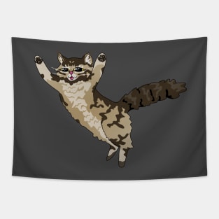 Pouncing Fluffy Cat Tapestry