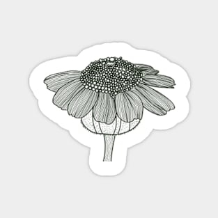 Sunflower Black and White Line Art Magnet