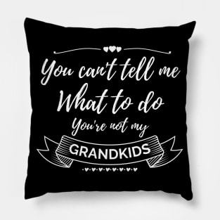 You can't tell me what to do,You're not my grandkids, grandchild Pillow