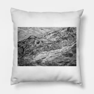 South Orange of Alligator black and white 2 Pillow