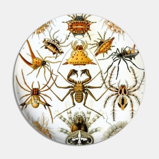 Arachnids by Ernst Haeckel Pin